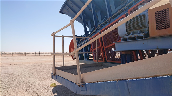 34 Units - Senet 1350mm (54") W X 38m (125') L Grasshopper Conveyors)